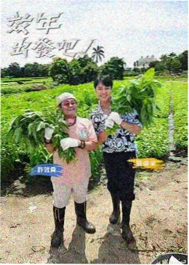 青柠视频生活慢综艺周末不加班